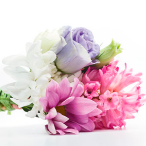 Casa Girón - Monteolivo